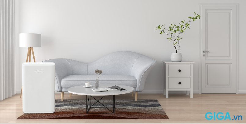 1755510006375-may-hut-am-12l-lumias-d6s-12l-14.jpg 1755510006375-may-hut-am-12l-lumias-d6s-12l-14.jpg