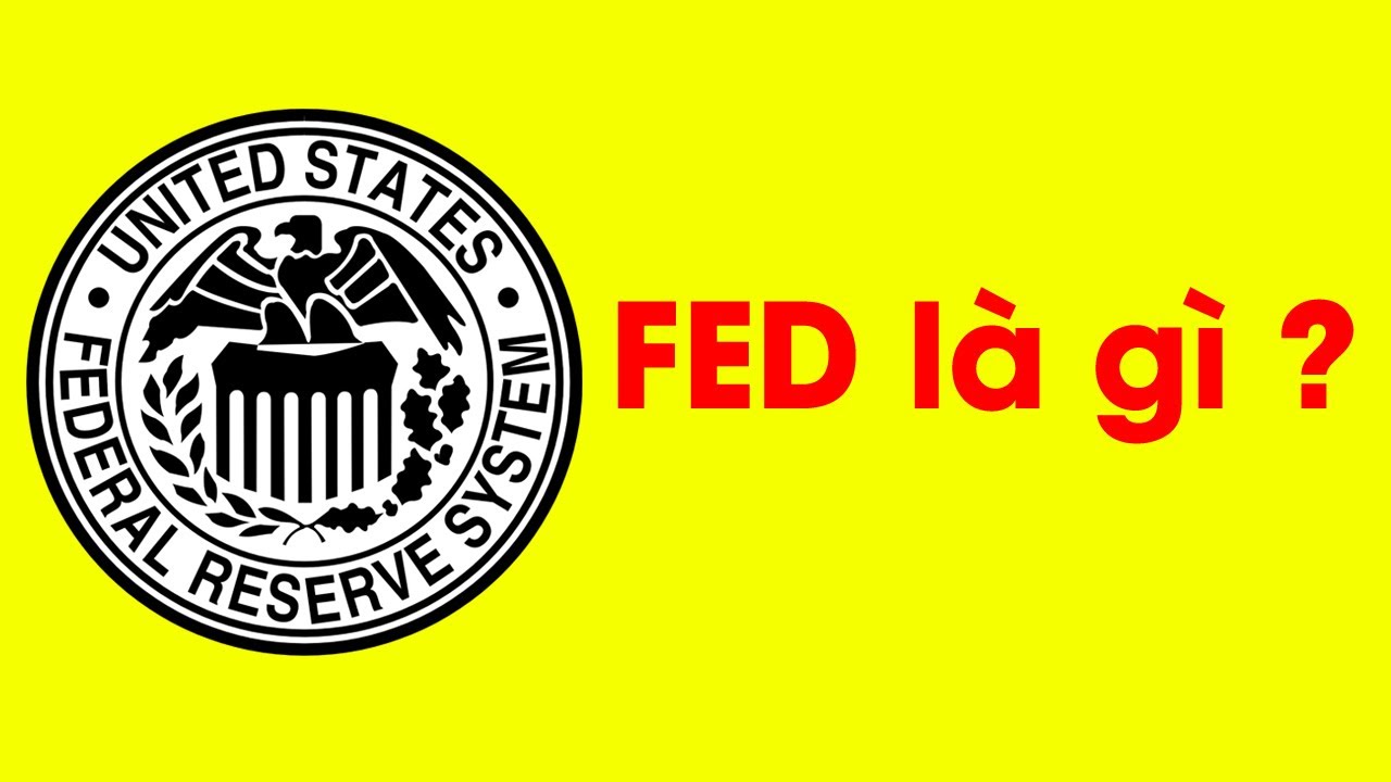 FED-la-gi-hinh2.jpg