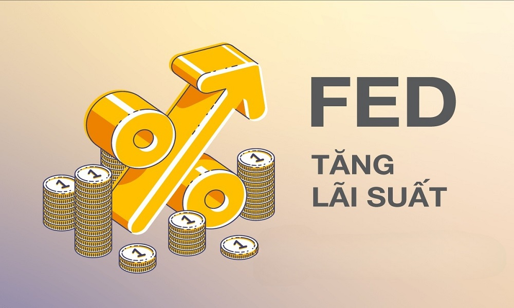 fed-tang-lai-suat-1.jpg