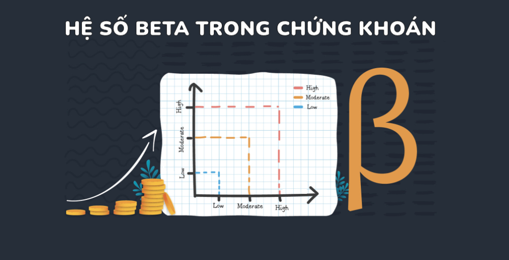 he-so-beta-1.jpg