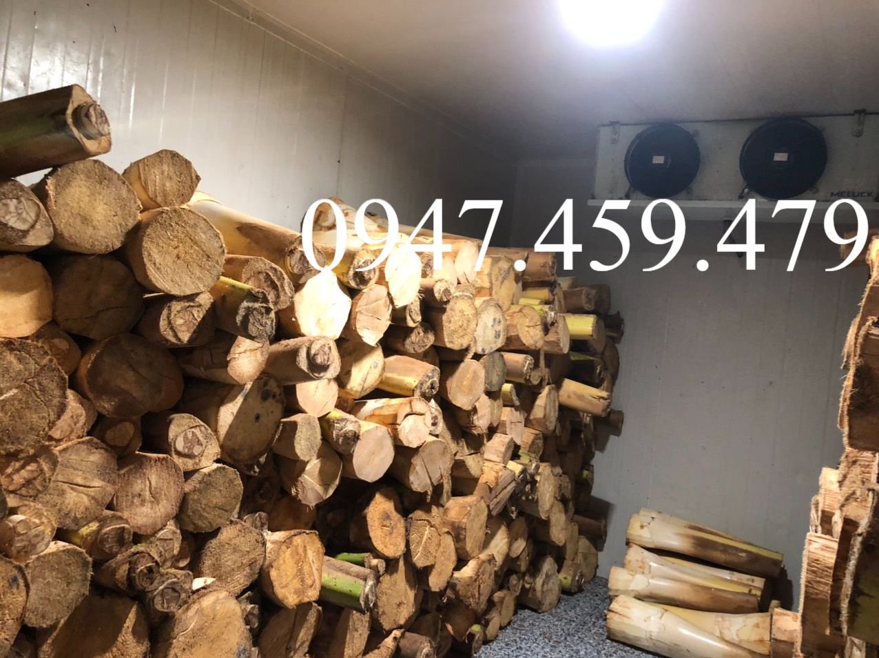 kho lạnh bảo quản củ hủ dừa (3).jpg