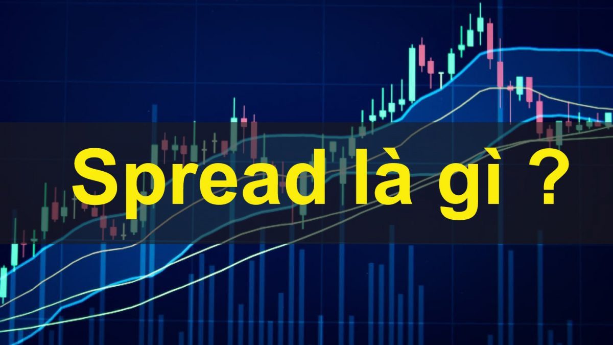 Spread.jpg