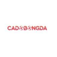 cadobongdaonlineitcom