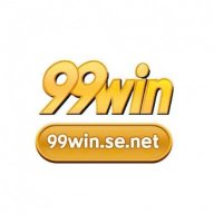99winsenet