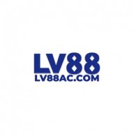 lv88accom3